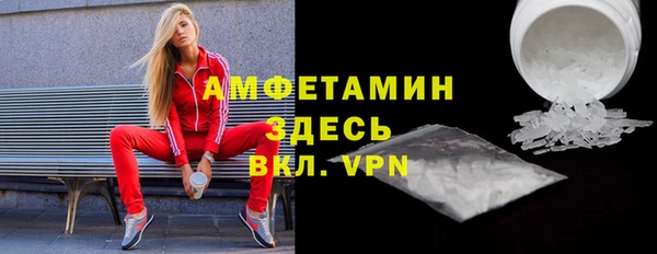 шишки Бородино