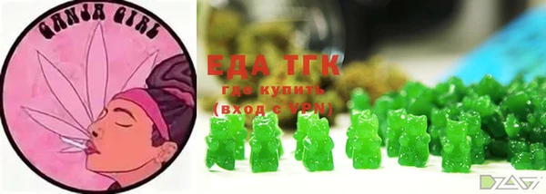 твердый Новозыбков