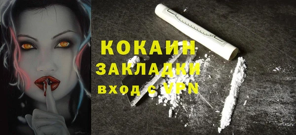 твердый Новозыбков