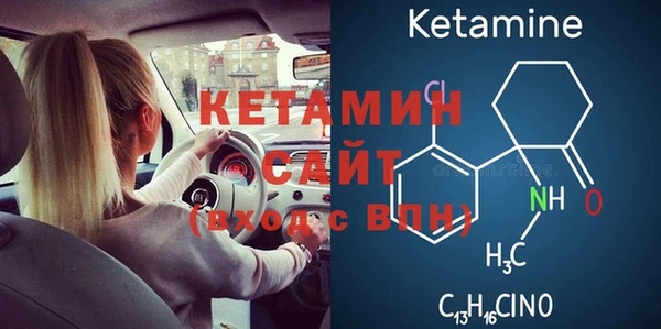 твердый Новозыбков
